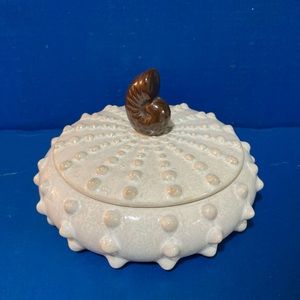 Round Shell Dish Trinket Display Container Eclectic Whimsy Oceanic